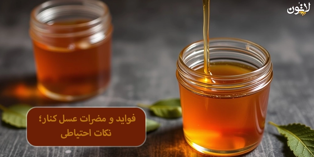 فواید-و-مضرات-عسل-کنار-نکات-احتیاطی