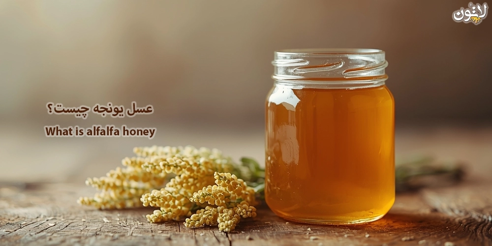 عسل-یونجه-چیست