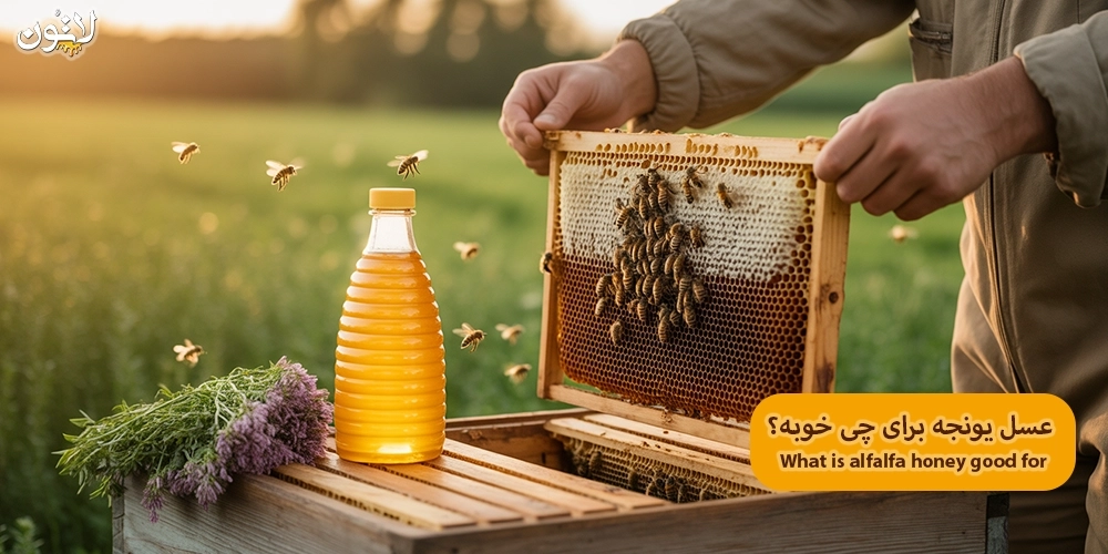 عسل-یونجه-برای-چی-خوبه