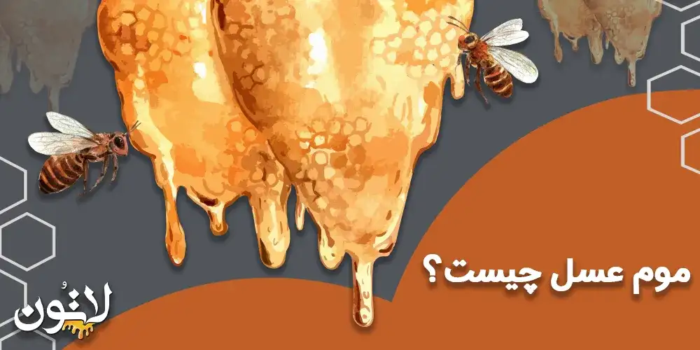 موم-عسل-چیست؟