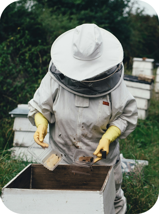 درباره ما | لاتون، طعم شیرین سلامتی