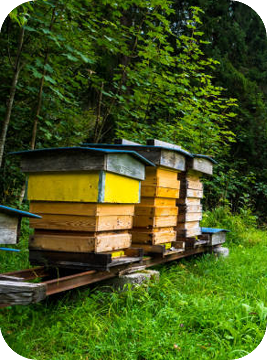 راه های ارتباط